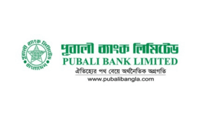 Pubali Bank Limited logo